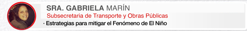 Expositora Gabriela Marin
